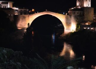 Firemen More Interesting Than Dogs