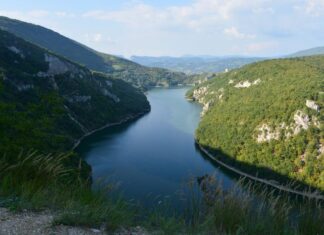 The Pigeons of the Bayezid Mosque