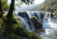 Question of the Basilike Pyle