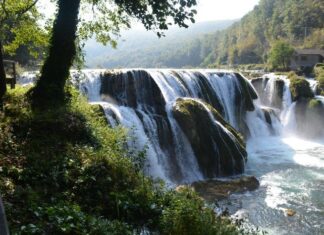 Question of the Basilike Pyle