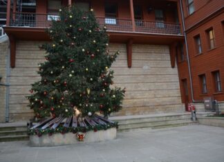 Defensive Works at the Bucoleon Palace